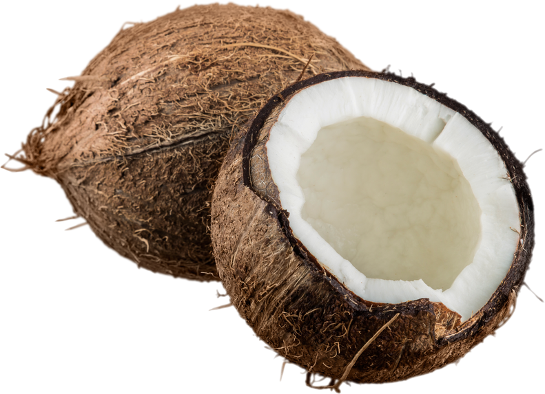 Opened Coconut